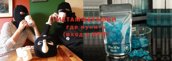 индика Новозыбков