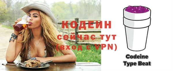 индика Новозыбков