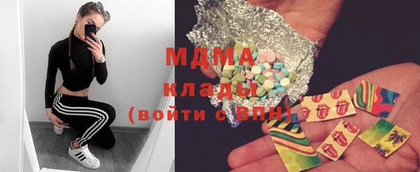 индика Новозыбков