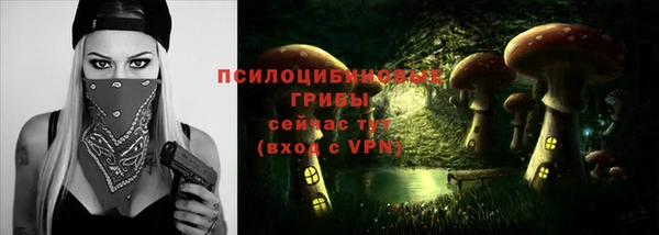 a pvp Новокубанск