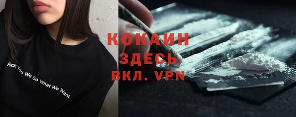 индика Новозыбков