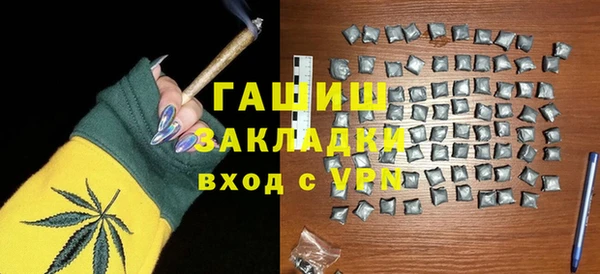 индика Новозыбков