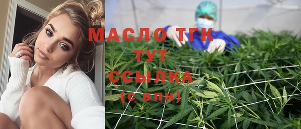 индика Новозыбков