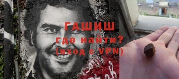индика Новозыбков