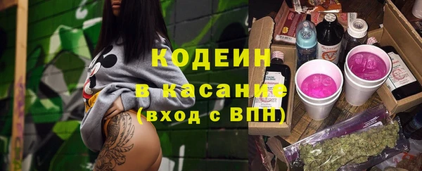 индика Новозыбков