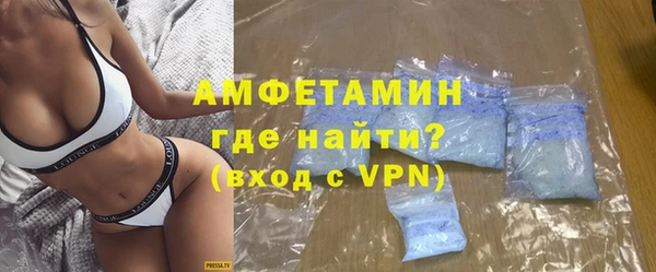 индика Новозыбков