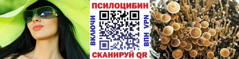 Галлюциногенные грибы Psilocybine cubensis  Богучар 